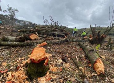 Las manos criminales detrás del desastre ecológico en Entrenubes, el pulmón de tres localidades de Bogotá